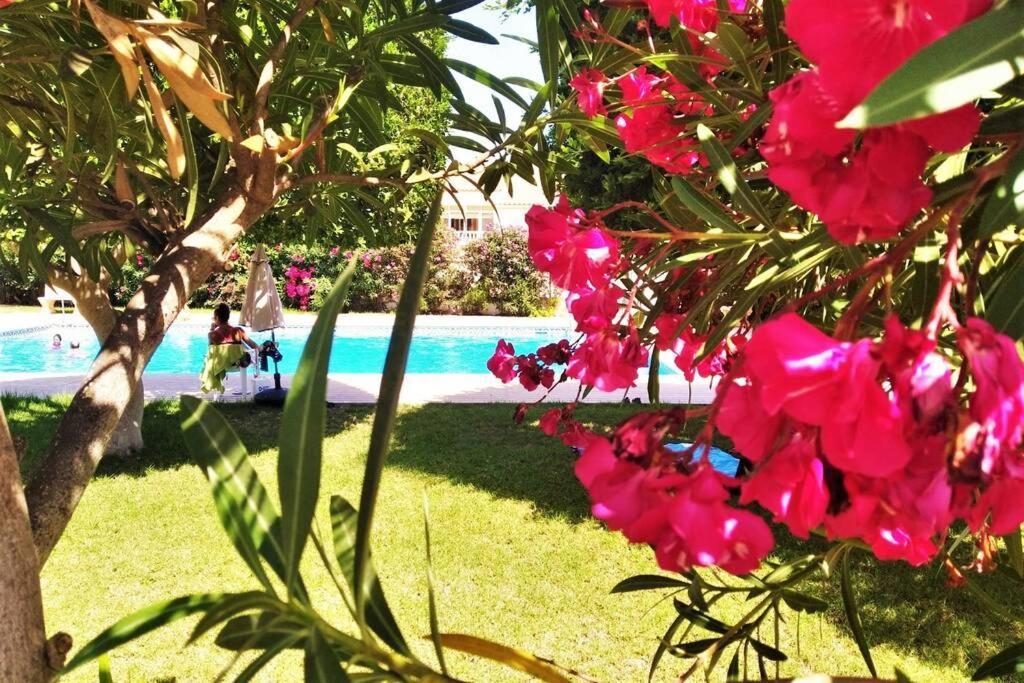 La Casita Soleada - Gran Alacant Ferienhaus *